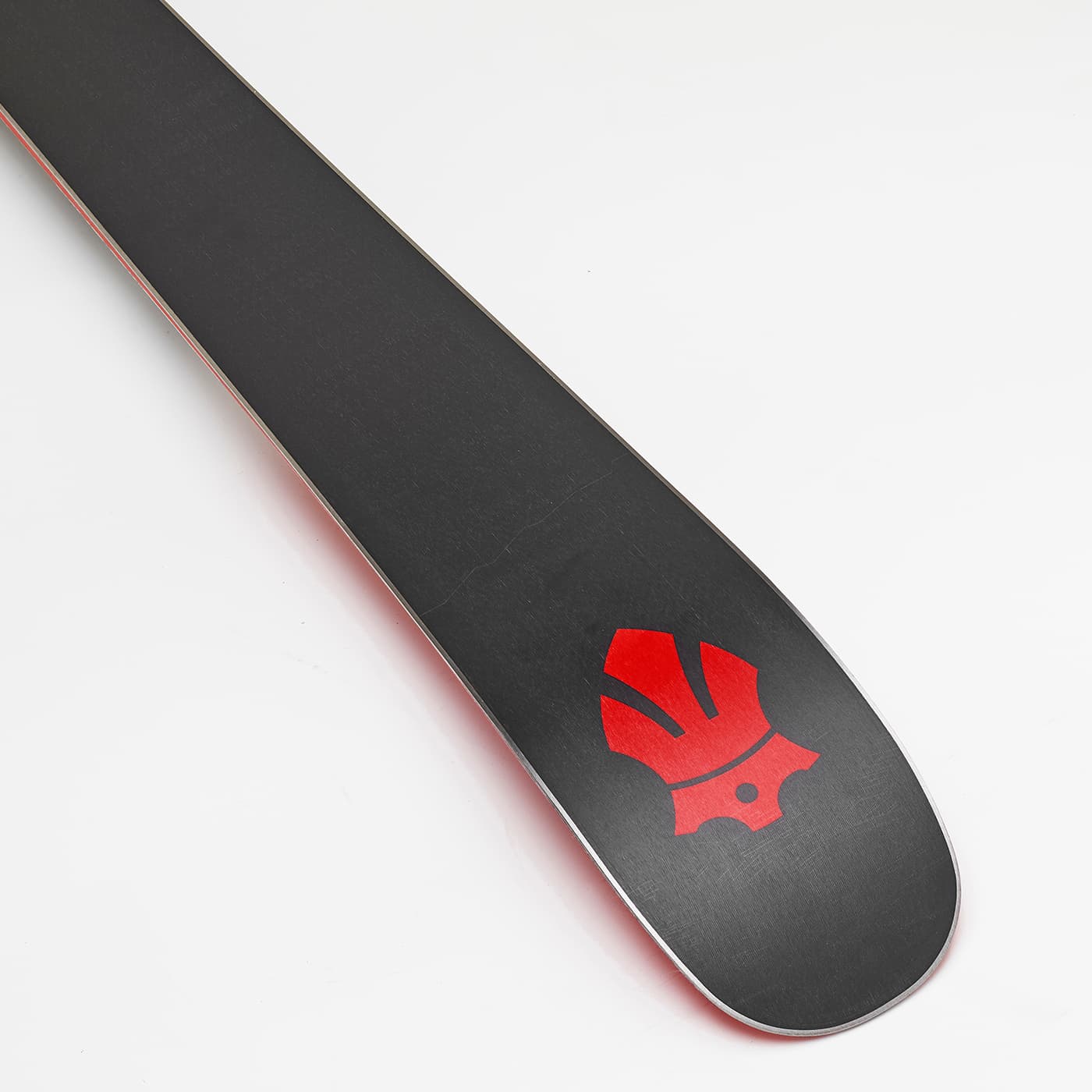 Majesty Dirty Bear Pro bilde 3